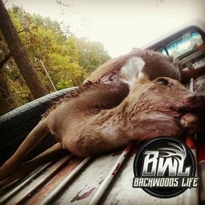 Meet your Posher, George